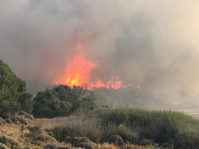Gökçeada'da Orman Yangını: Havadan ve Karadan Müdahale Devam Ediyor