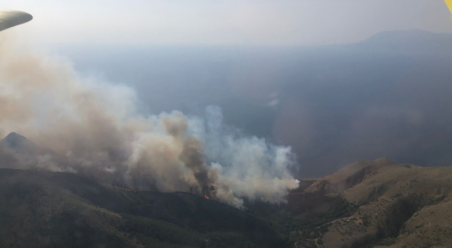 Gökçeada'da Orman Yangını: Havadan ve Karadan Müdahale Devam Ediyor
