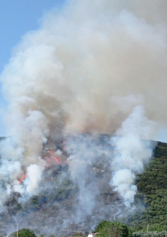 Gaziantep'te Orman Yangınına Havadan ve Karadan Müdahale