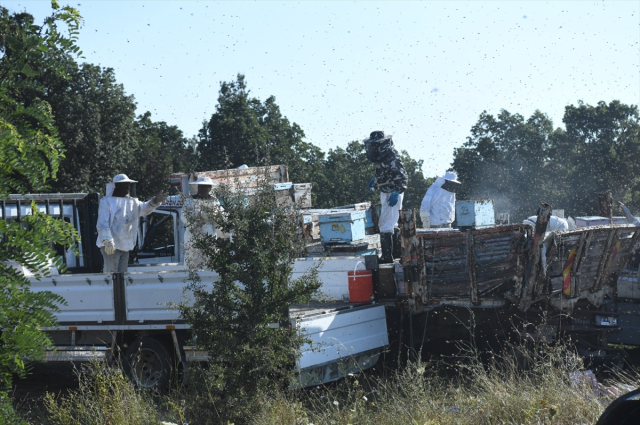 Kovan yüklü kamyonetlere tır çarptı! 4 kişi can verdi, 3 görevli arılar yüzünden hastanelik oldu