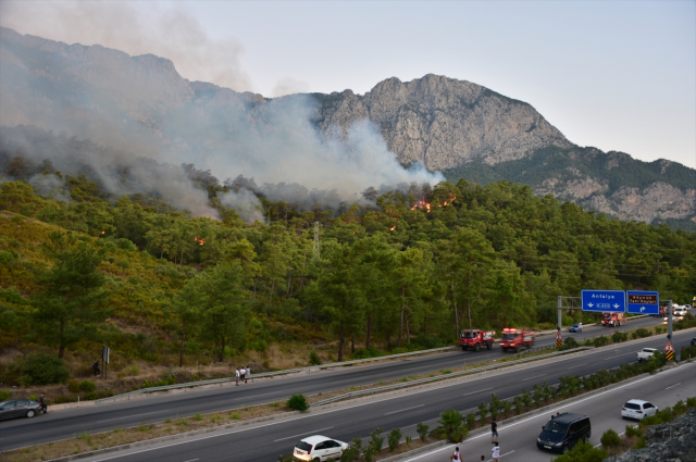 Antalya'da yangın son durum nedir? Antalya'da yangın söndürüldü mü? Antalya'da yangın nerede çıktı?