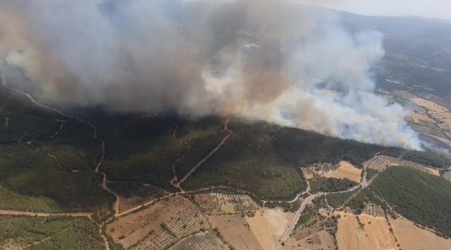 İzmir'de Orman Yangınlarına Havadan ve Karadan Müdahale