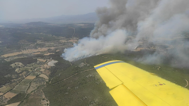 İzmir'de Orman Yangınlarına Havadan ve Karadan Müdahale