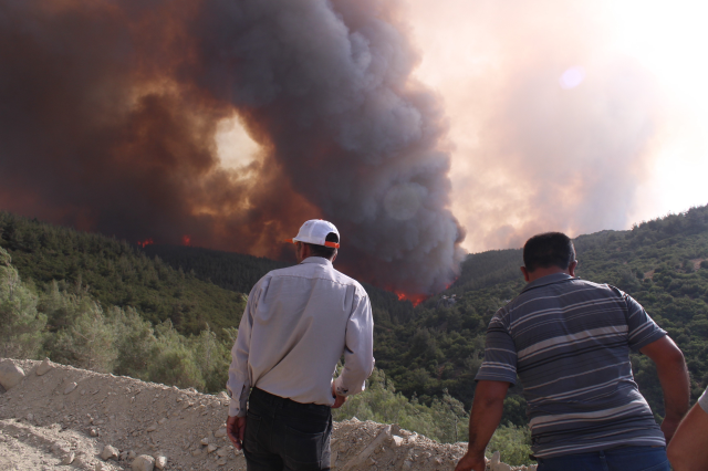 İzmir ve Antalya'da orman yangını! Alevlerle mücadele devam ediyor