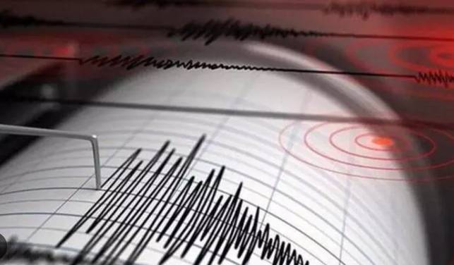 İzmir'de korkutan deprem 3